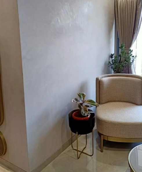 Stucco lime Plaster 2